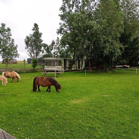 De Boerenskuur..Chalet.. Assendelft Eksteriør billede