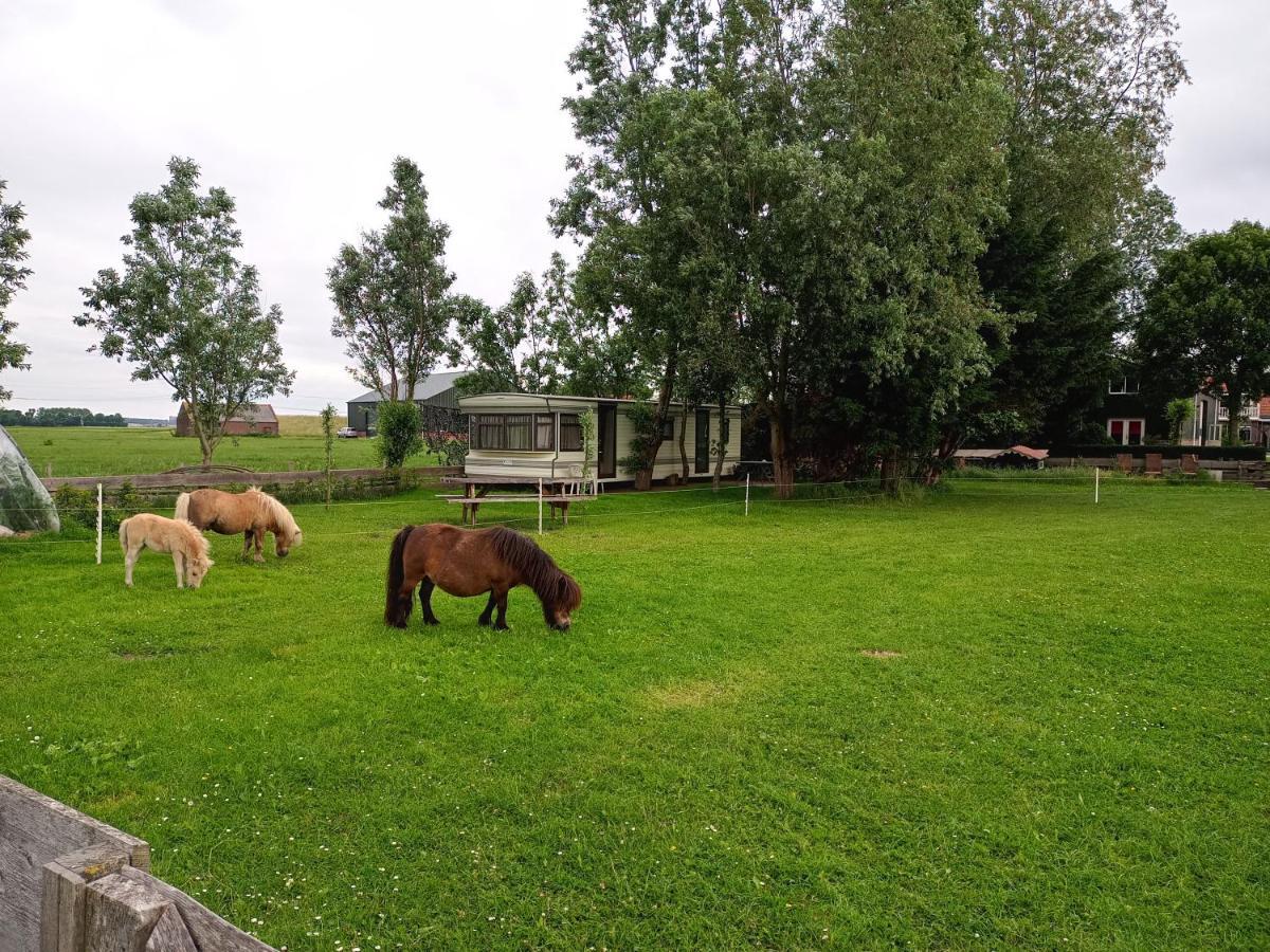 De Boerenskuur..Chalet.. Assendelft Eksteriør billede